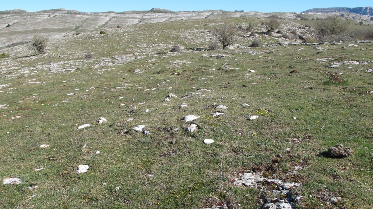 Otsagarate 12 tumulua, Urbasa