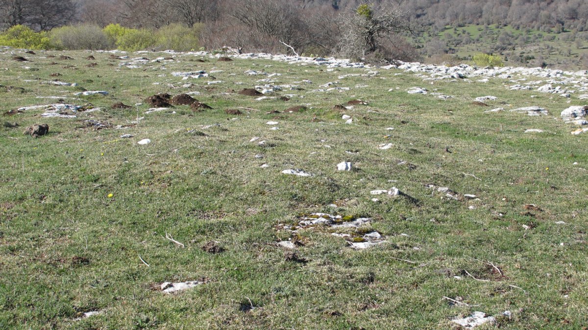 Otsagarate 12 tumulua, Urbasa