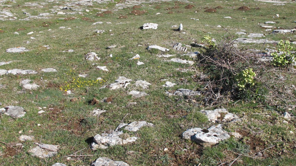 Otsagarate 11 tumulua, Urbasa