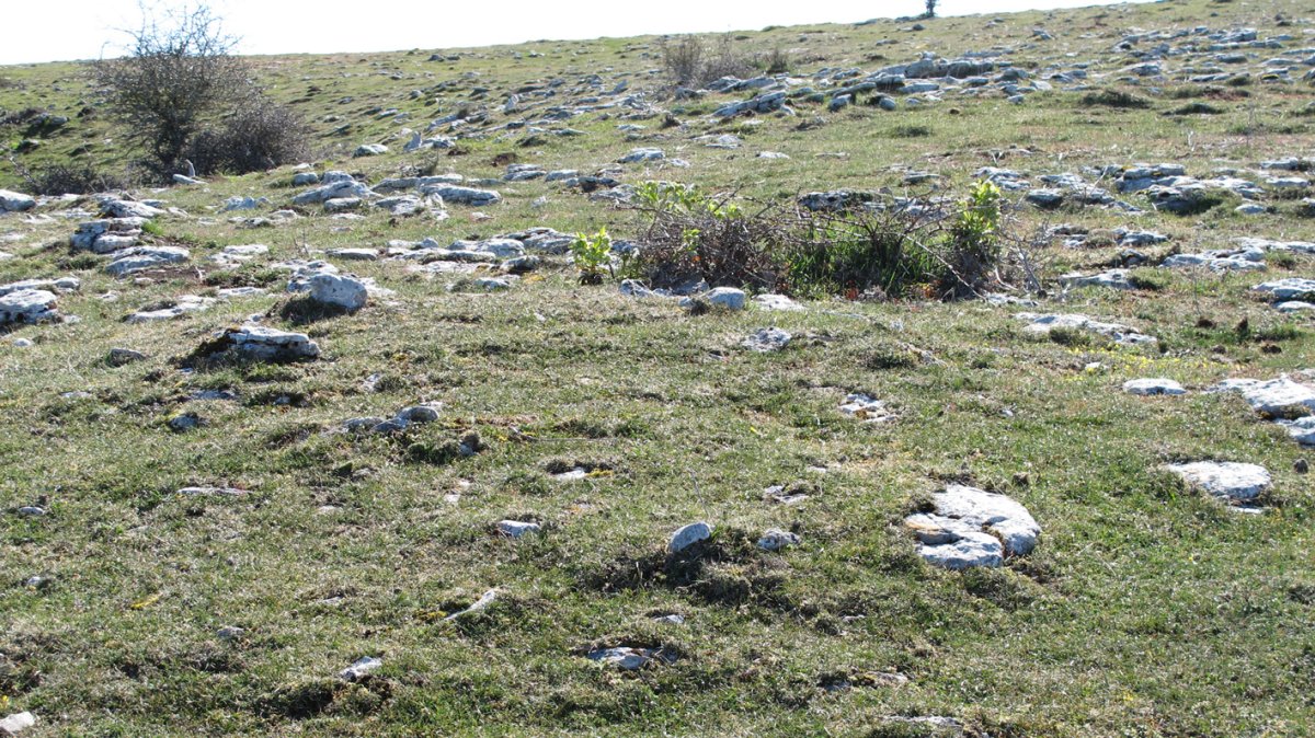 Otsagarate 11 tumulua, Urbasa