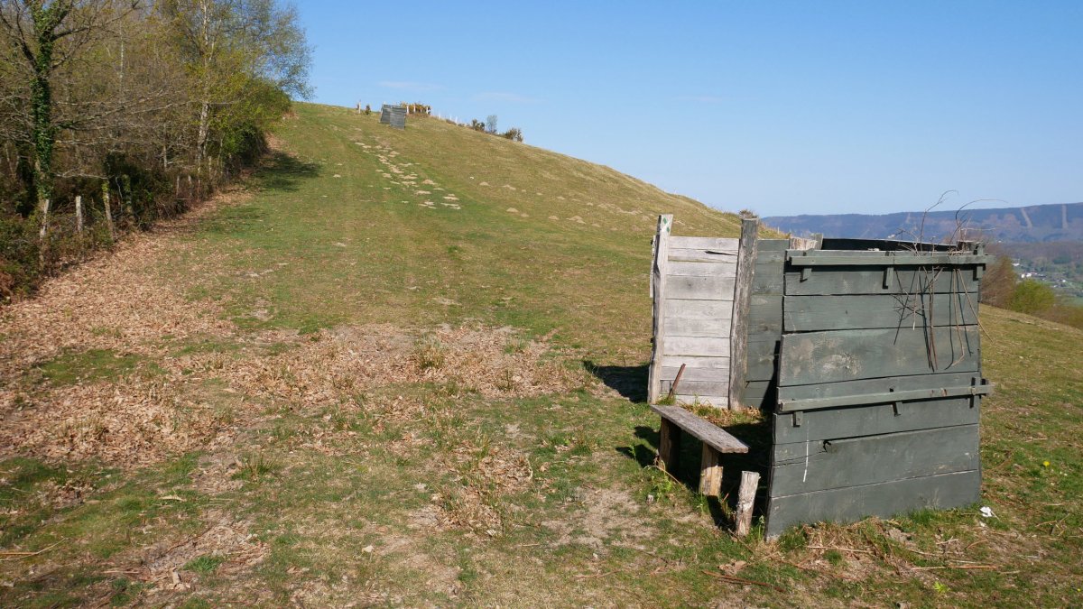 Elorrietako Eko bizkarra