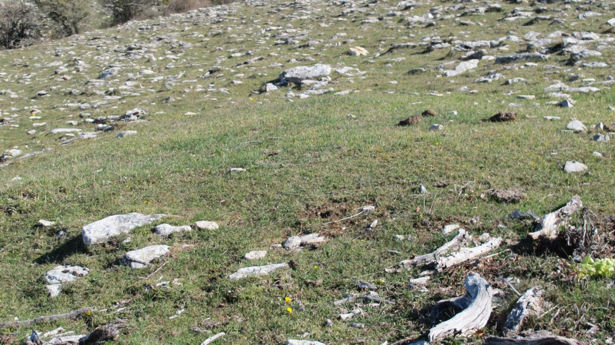 Otsagarate etxola hondoa, Urbasa