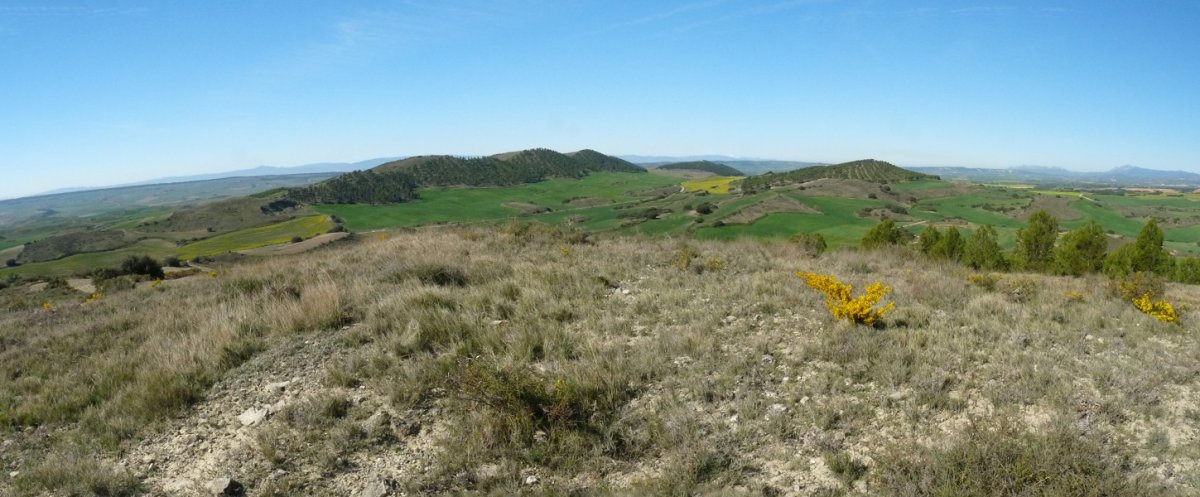 San Lorenteko galiurra