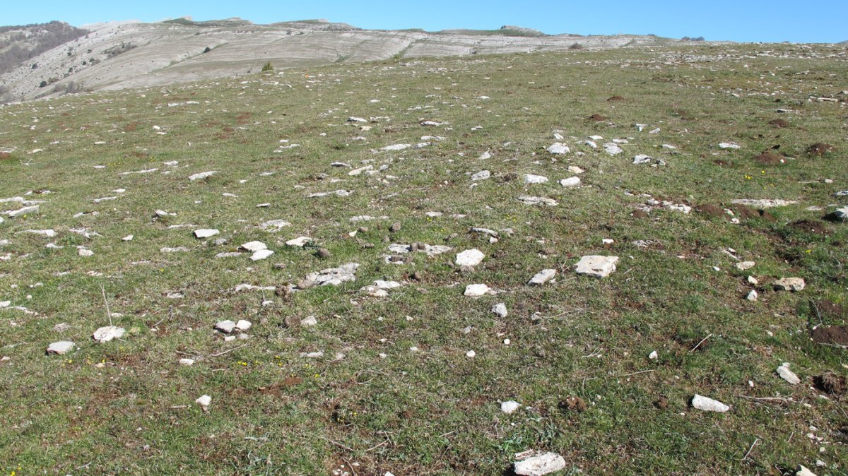 Otsagarate 9 tumulua, Urbasa