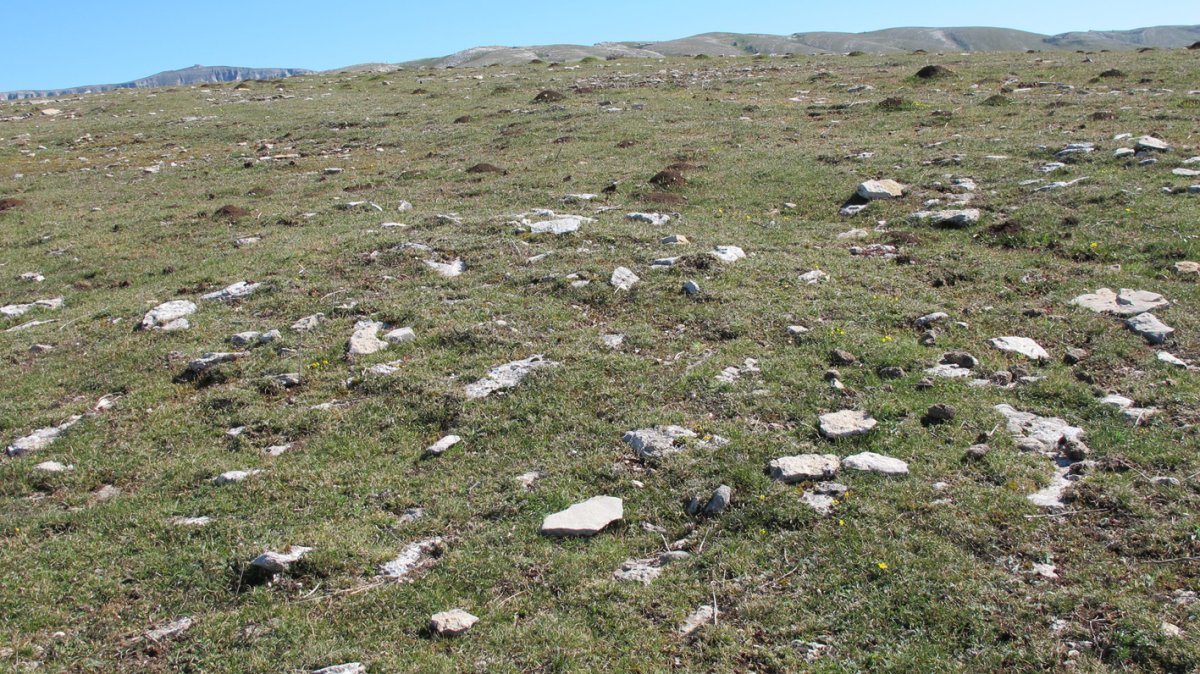 Otsagarate 9 tumulua, Urbasa