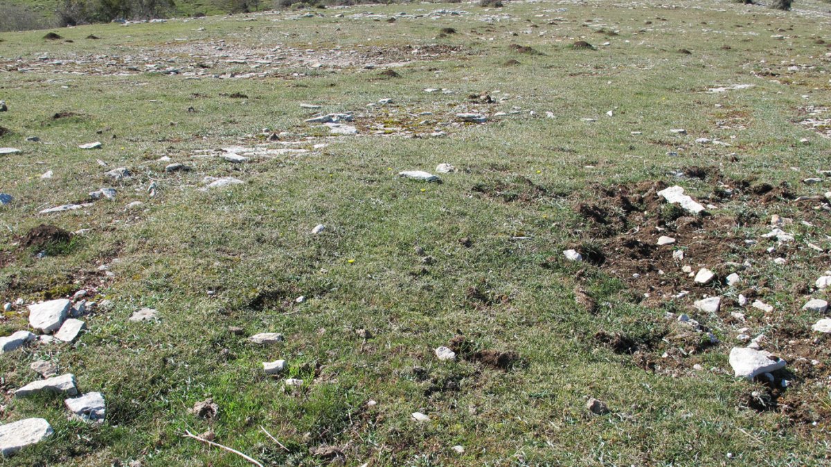 Otsagarate 8 tumulua, Urbasa