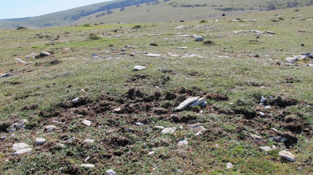 Otsagarate 8 tumulua, Urbasa