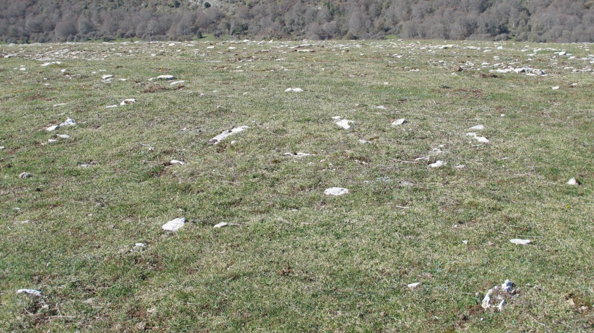 Otsagarate 7 tumulua, Urbasa