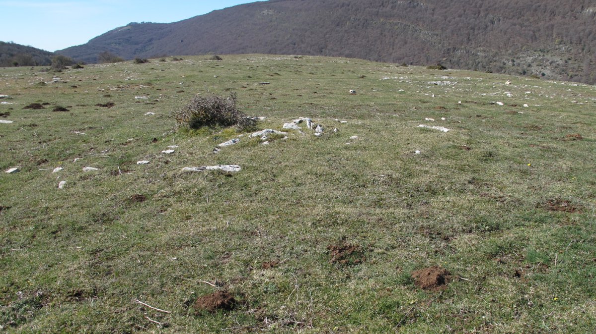 Otsagarate 5 tumulua, Urbasa