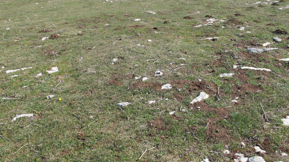 Otsagarate 4 tumulua, Urbasa