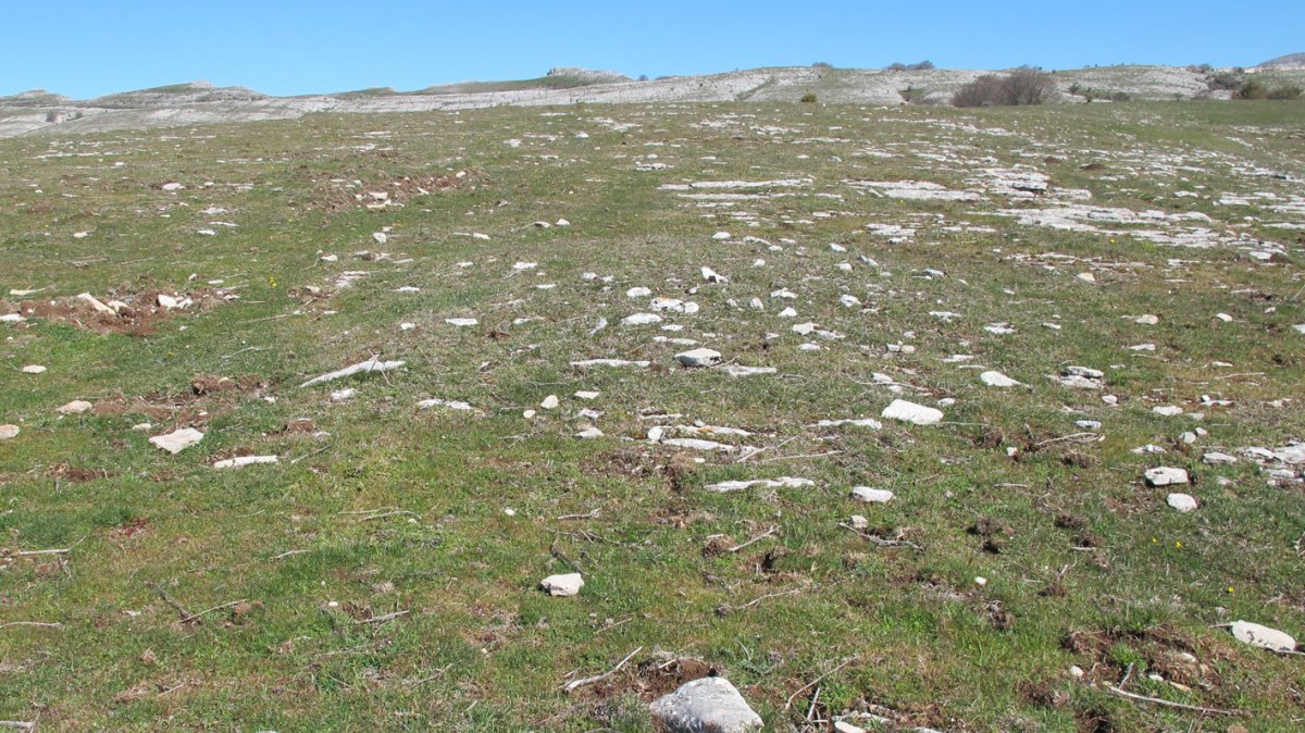 Otsagarate 3 tumulua, Urbasa