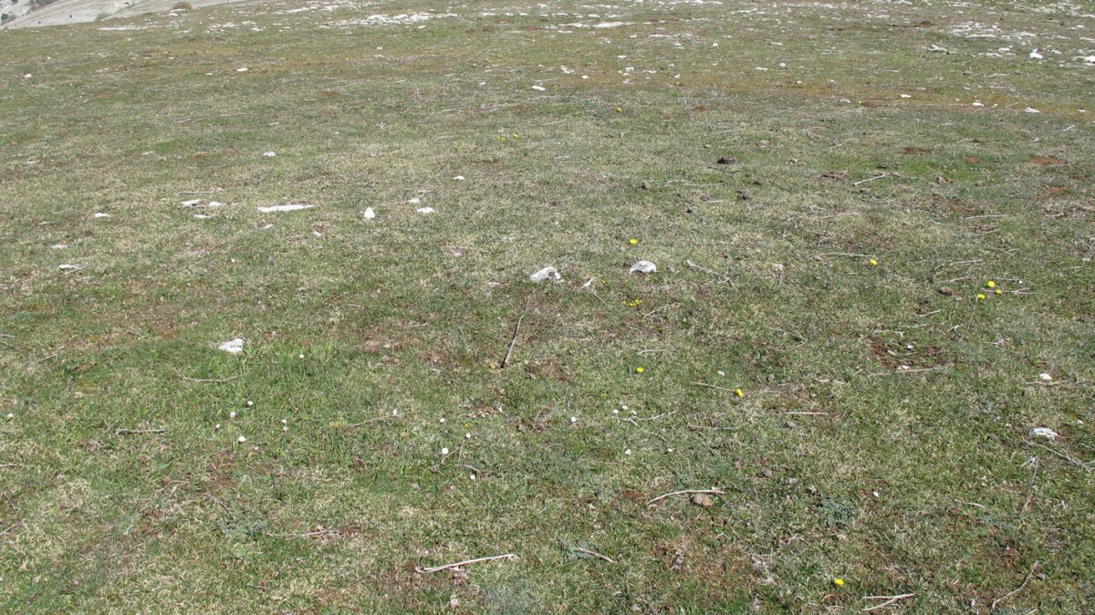 Otsagarate 2 tumulua, Urbasa