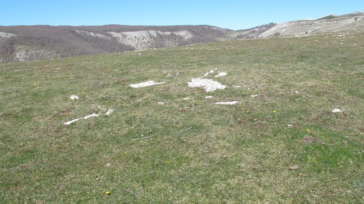 Otsagarate 1 tumulua, Urbasa