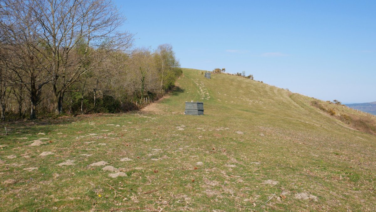 Elorrietako Eko bizkarra