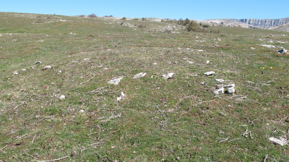 Errebeltz 2 norte tumulua, Urbasa