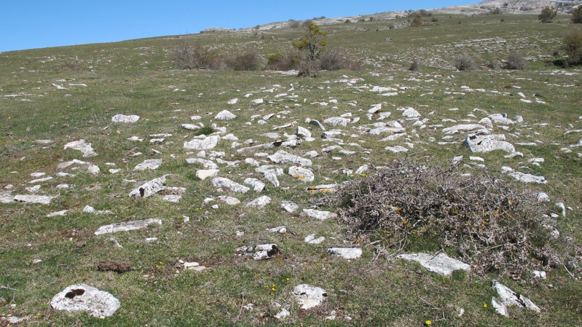 Errebeltz 1 sur tumulua, Urbasa