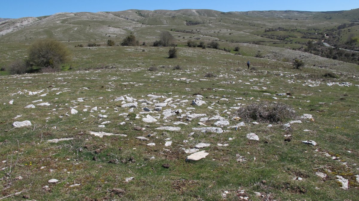 Errebeltz 1 sur tumulua, Urbasa