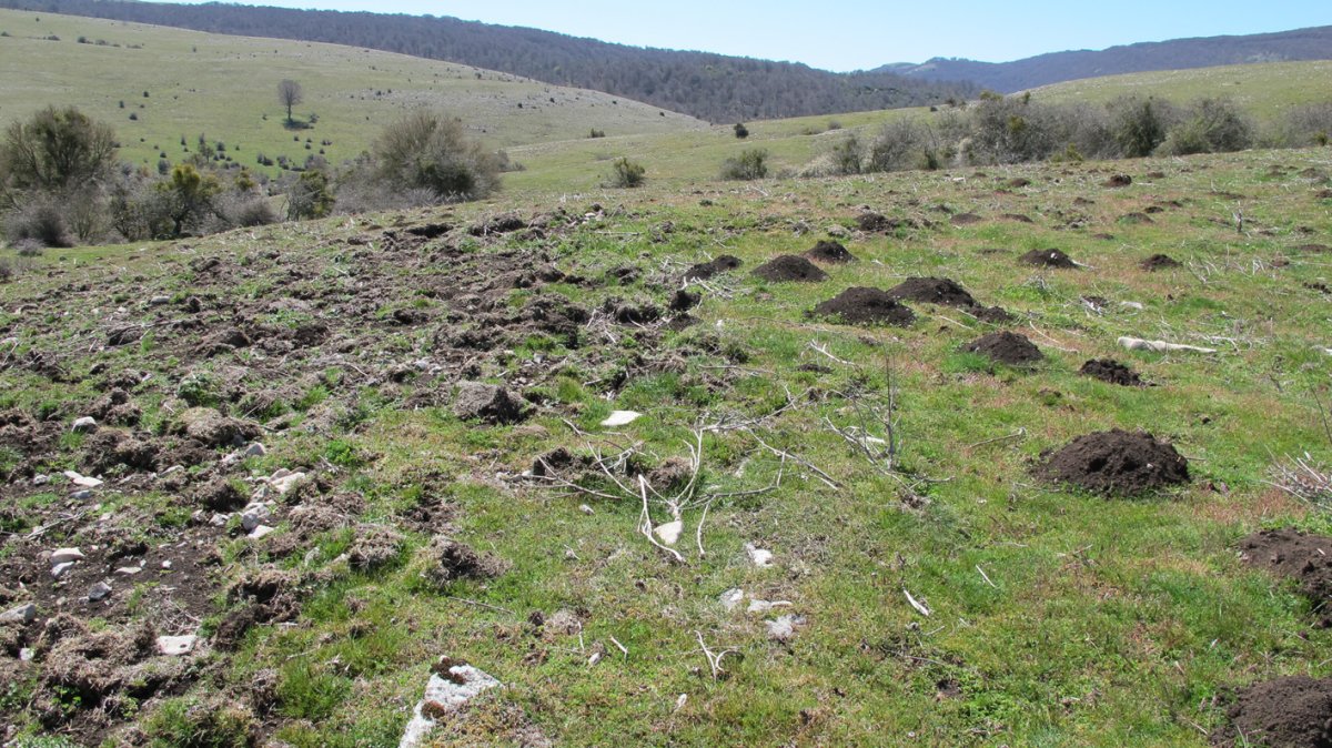 Errebeltz 1 etxola hondoa, Urbasa