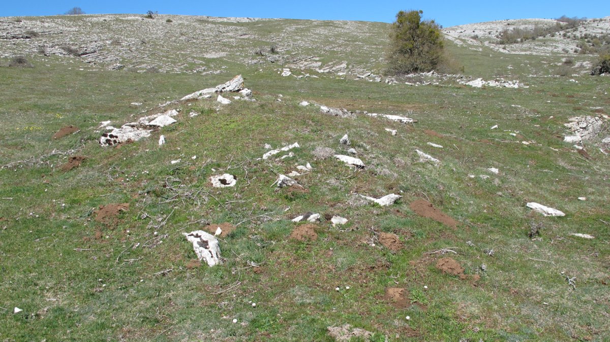 Zalbide tumulua, Urbasa