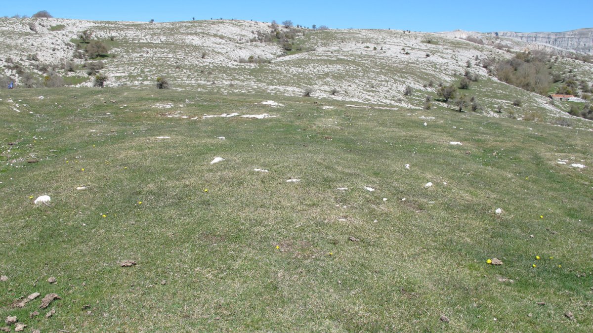 Gaztansoro 1 este tumulua, Urbasa