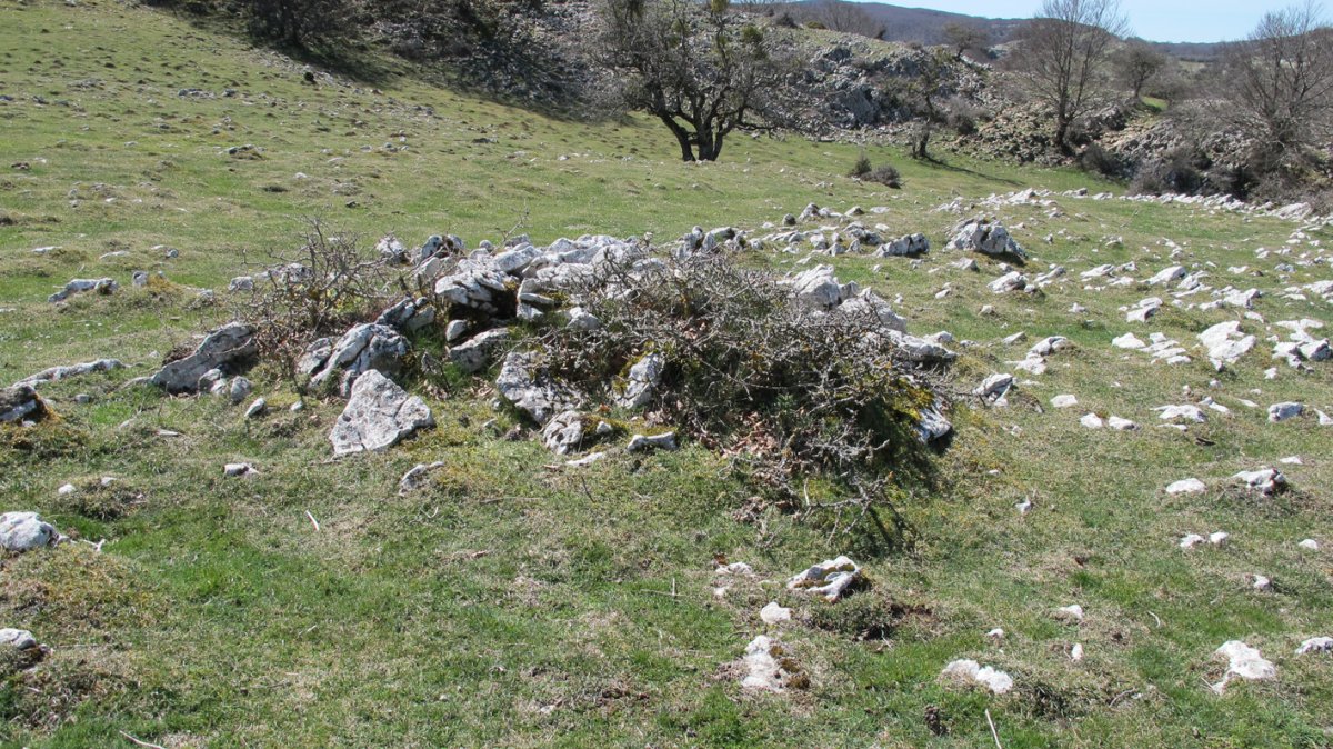 Gaztansao 1 tumulua, Urbasa