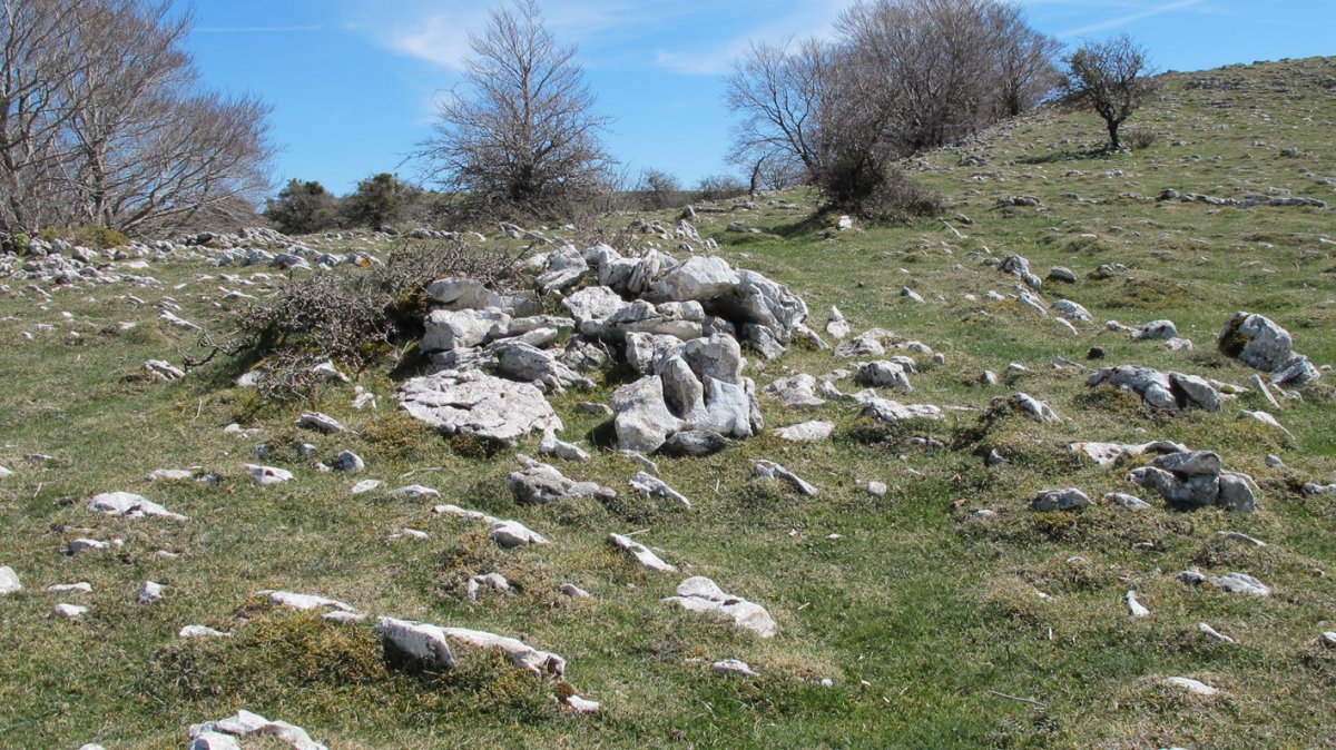 Gaztansao 1 tumulua, Urbasa