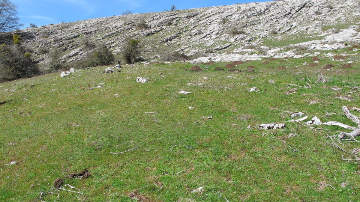 Gaztansoro 3 etxola hondoa, Urbasa