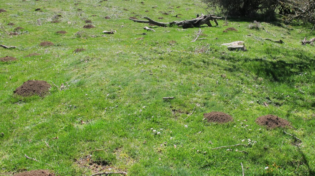 Gaztansoro 2 etxola hondoa, Urbasa