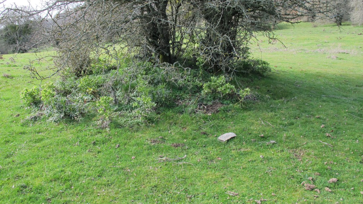 Zalbide 124 tumulua, Urbasa