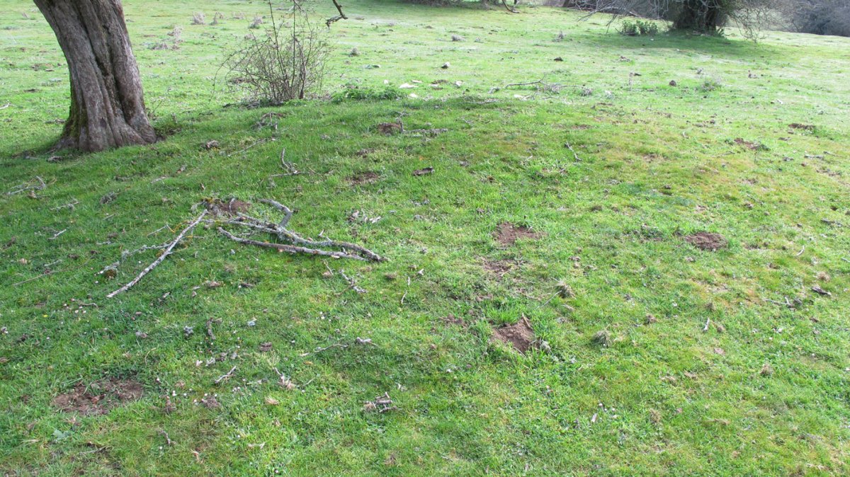 Zalbide 153 tumulua, Urbasa