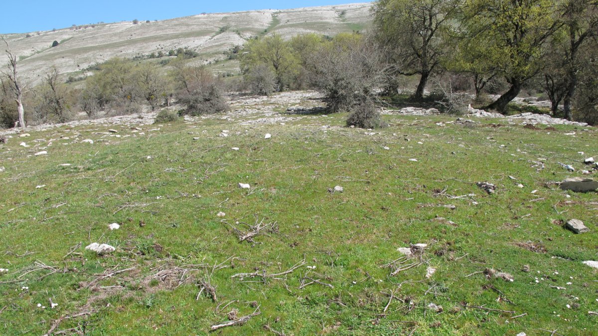 Joaquinen txabola etxola-hondoa, Urbasa