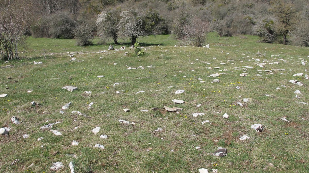 Ilusiar trikuharria, Urbasa