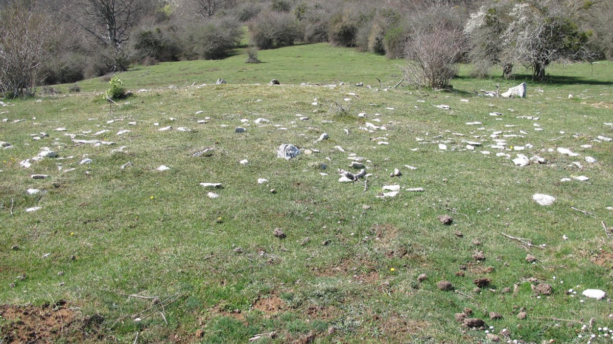 Ilusiar trikuharria, Urbasa