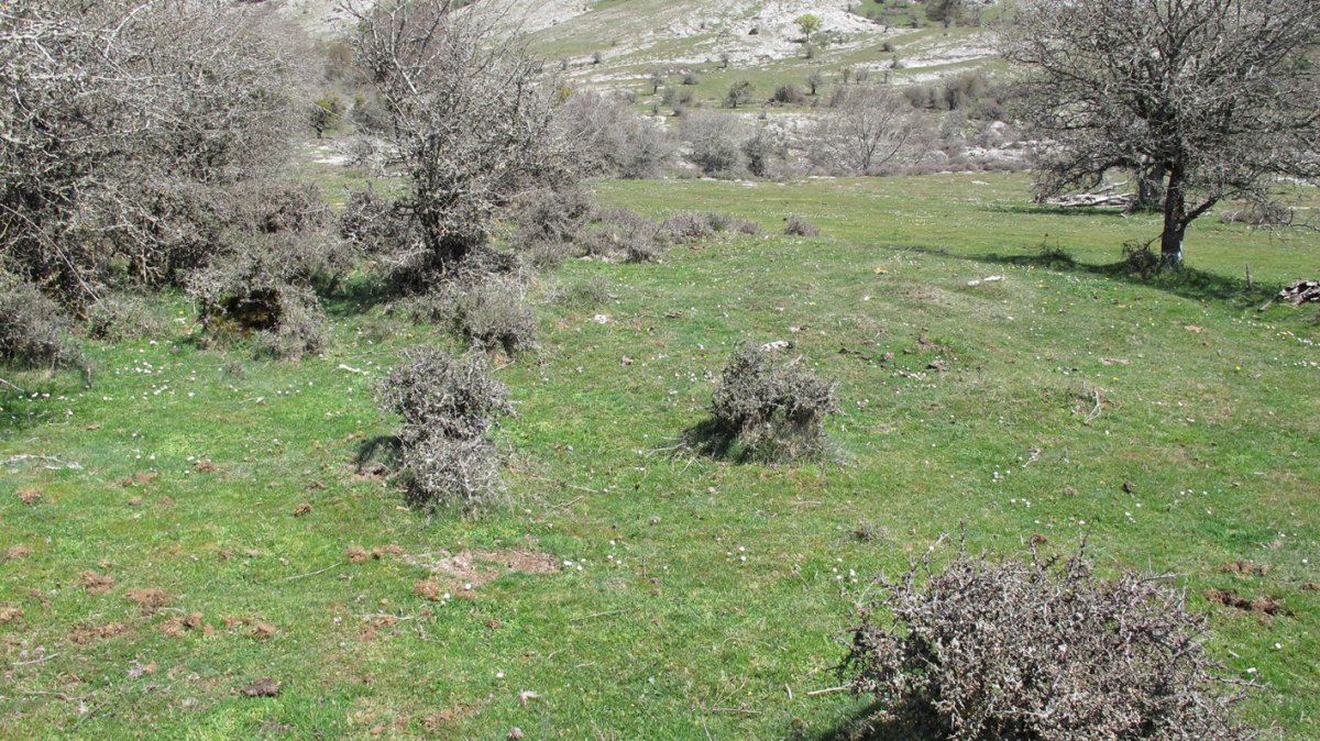 Zalbide 2 norte eraztun tumulua, Urbasa