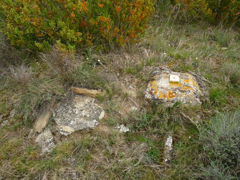 Tako geodesikoa gailurrean