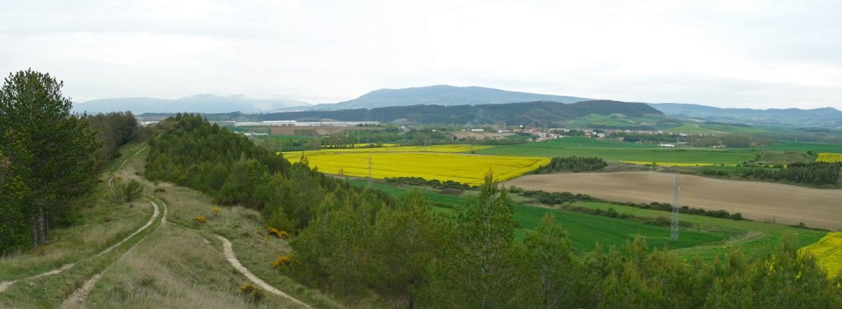 Ikuspegiak gandorretik