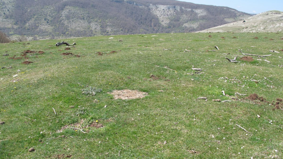 Gaztansoro 1 etxola hondoa, Urbasa