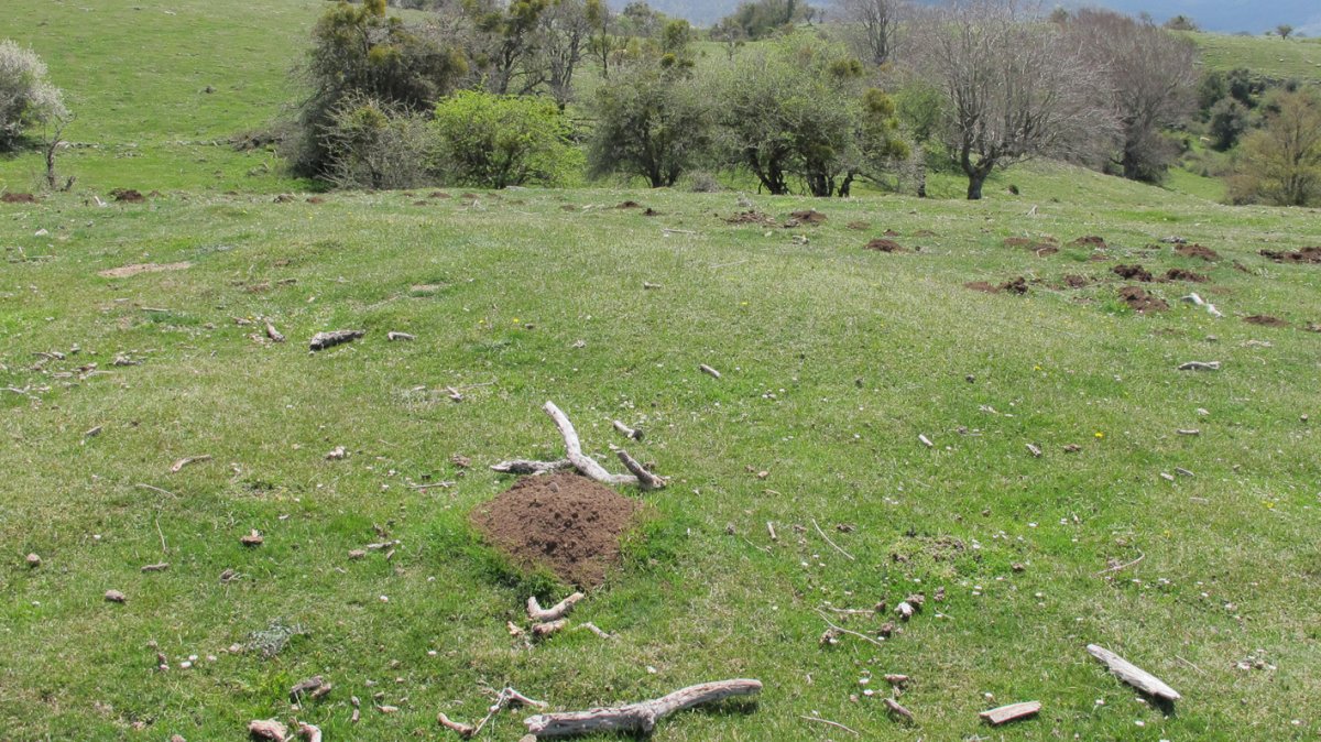 Gaztansoro 1 etxola hondoa, Urbasa