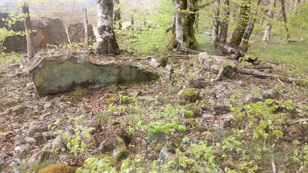 Suspiru I trikuharria (2019)