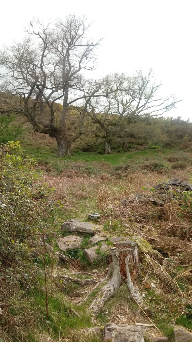 Hautza (1304m) igoera hasieran