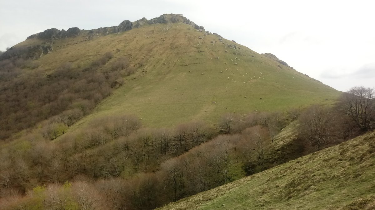 Mendaur (1130m) Mendieder magaleko bidezidoretik
