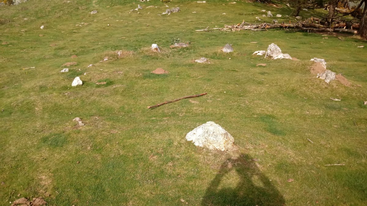 Mandale harrespilak 8