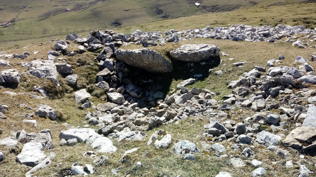 Aizkorritxo trikuharria 3