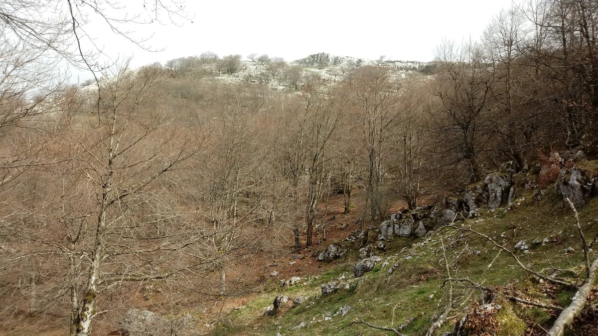 Andarto (1074m) mendia