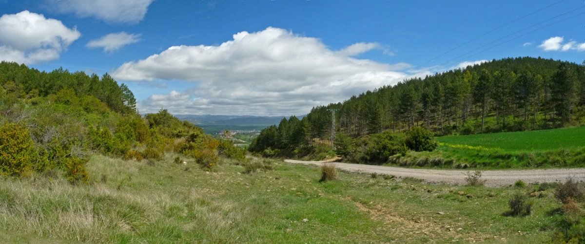 Burisibar eta Borda gainen arteko lepoa