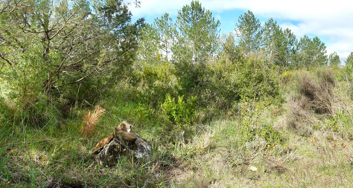 Borda gaineko gailurra