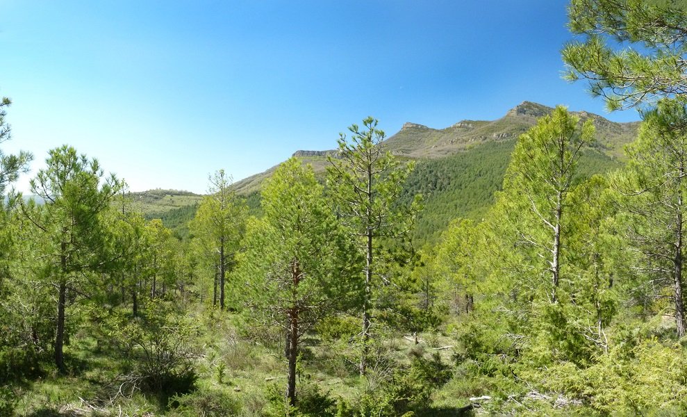 Kanadako paisaiak Nafarroan