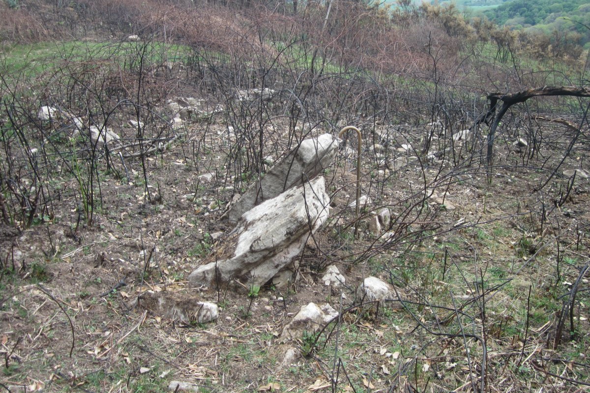 Dólmen Xarita II (Abril  2019)