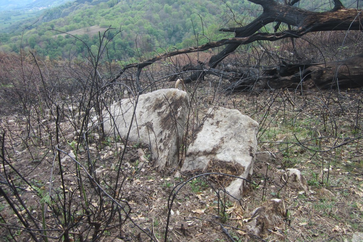 Dólmen Xarita II  (Abril 2019)