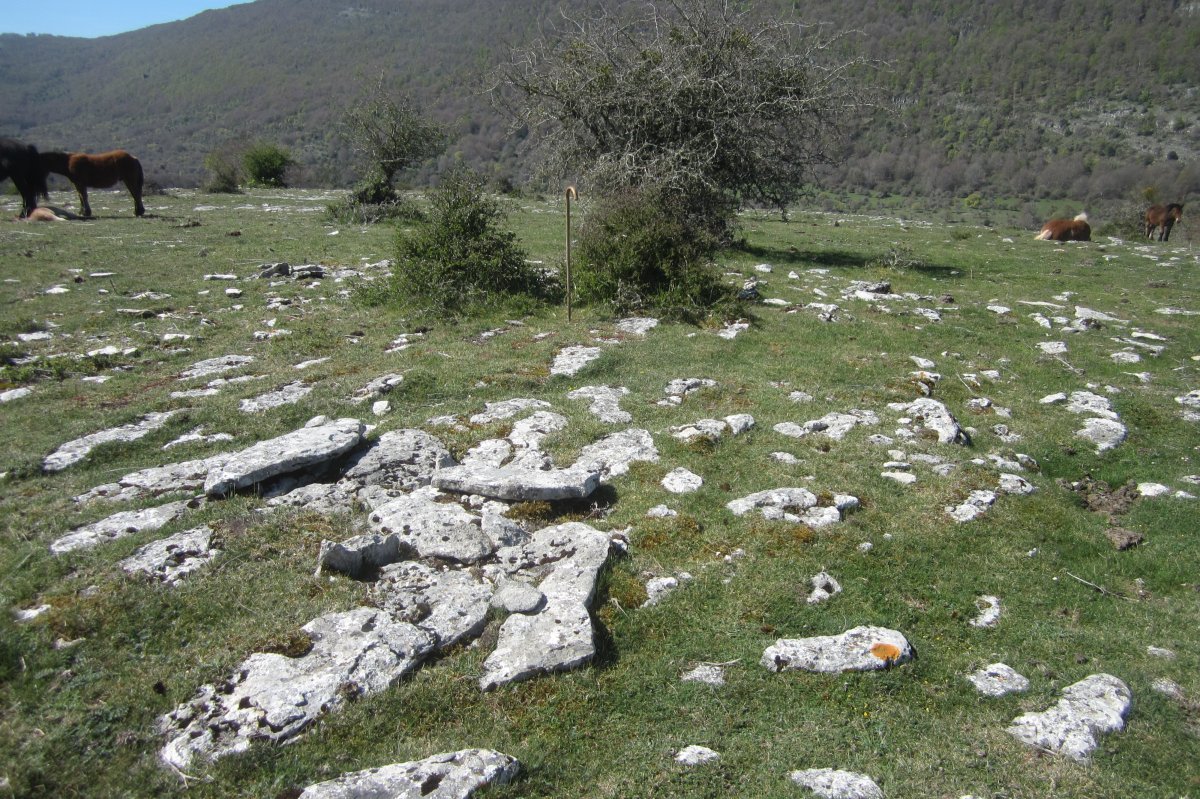 Túmulo Anular Osagarate (Abril 2019)